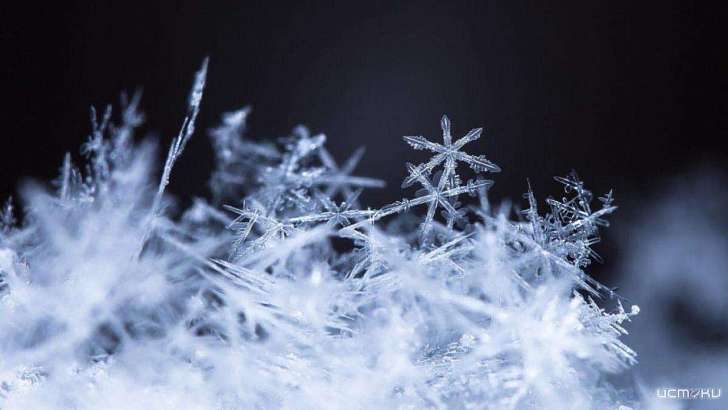 Суббота в Орле будет снежной