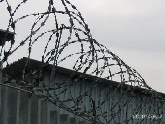 Ножом в сердце: орловского братоубийцу отправили в колонию на десять лет