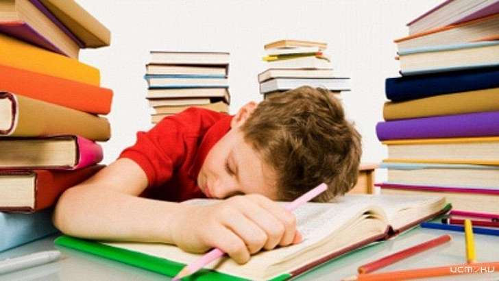 Орловским школьникам могут продлить учебный год