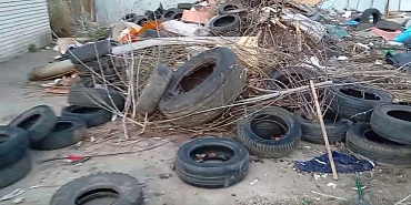 Результаты субботника продемонстрировала жительница деревни Жилина Орловского МО