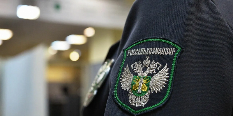 В Орловской области разоблачили фантомное производство молочной продукции