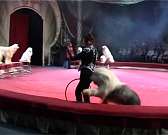 Новости за 90 секунд: с 1 января подорожает проезд в электричках, в следующем году на ремонт дорог в Орле потратят 133 млн рублей