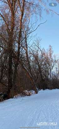 На Старый Новый год орловские ориентировщики отправятся в лес