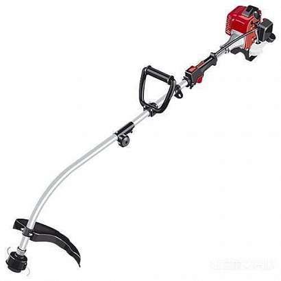 У орловчанки украли бензотример