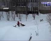 В Орловской области обнаружили тело, предположительно, Вики Гнедовой. Сотни волонтеров искали девочку на протяжении трех месяцев, а ее закопали в подв...