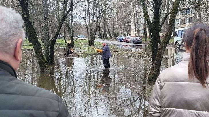 В Орле в луже рядом с многоэтажкой выловили бобра