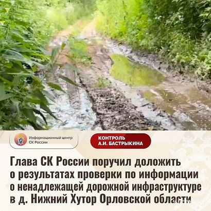 Бастрыкин потребовал разобраться с отсутствием дороги в орловской деревне