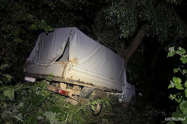 Пьяный водитель «Газели» врезался в дерево в Орловской области