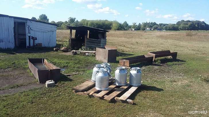 Антисанитария и кишечная палочка: на Орловщине закрыли на месяц две молочные фермы