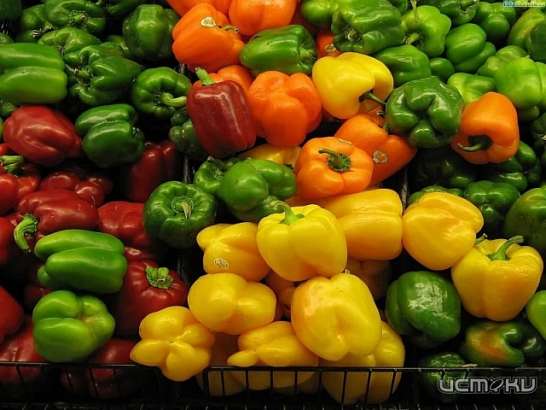 Вредители перцев