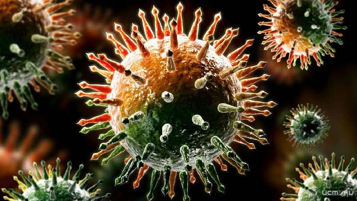 Орловщина обгоняет соседей по числу случаев COVID-19 на 100 тысяч человек