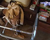 Экспресс-новости: приют для животных могут ввести в эксплуатацию, прокуратура восстановила в правах инвалида, а наш сюжет посмотрело более 114 тысяч ч...