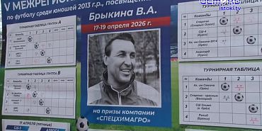 Памяти Владимира Брыкина