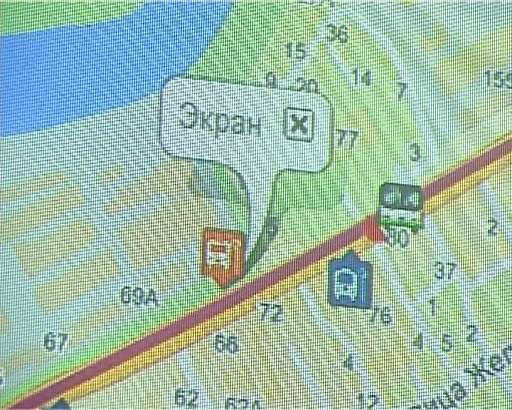 Поедет ли Альтернатива