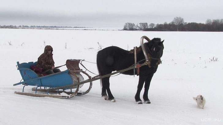 В школу на лошади: в орловской глубинке полгода не могут отремонтировать дорогу