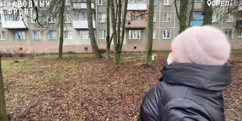 Орловчане пожаловались в Народный фронт на сухие деревья
