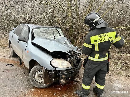 Под Орлом водитель легковушки пострадал при столкновении с деревом