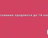 «Доброволец России»: голосуй за проект орловчанки «Нам в музее рады!»