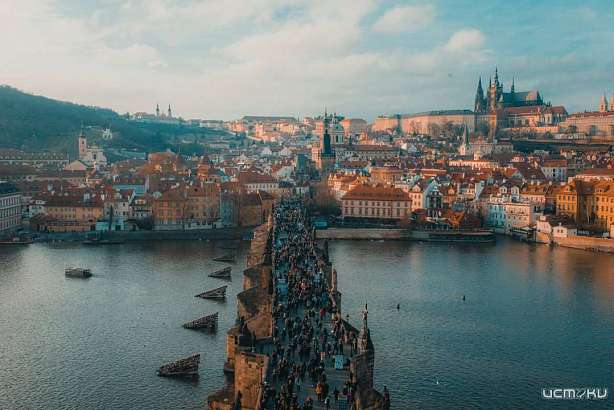 Образование в Чехии