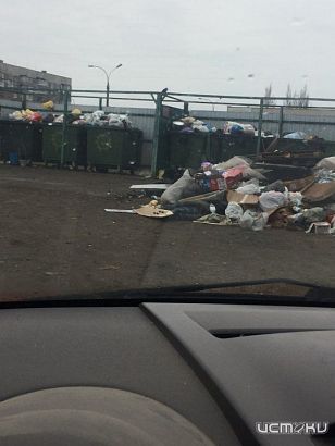 В Орле управляющие компании наказали за свалку