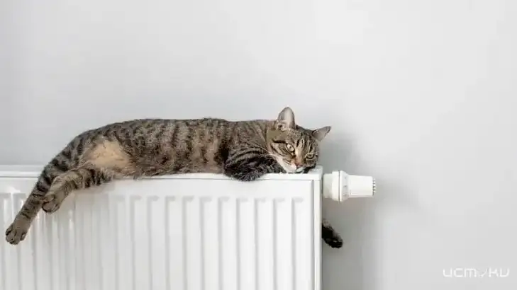 В Орле отопительный сезон ещё продолжается