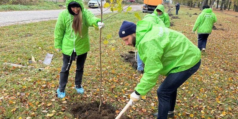 Кленовые и липовые аллеи появятся в орловских парках благодаря акции «Сохраним лес»