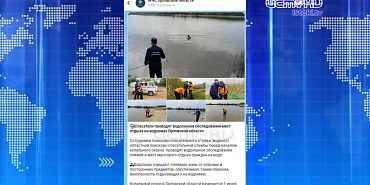 Жители Северного района подсчитали, сколько деревьев прижилось и опечалились. Экспресс - новости.