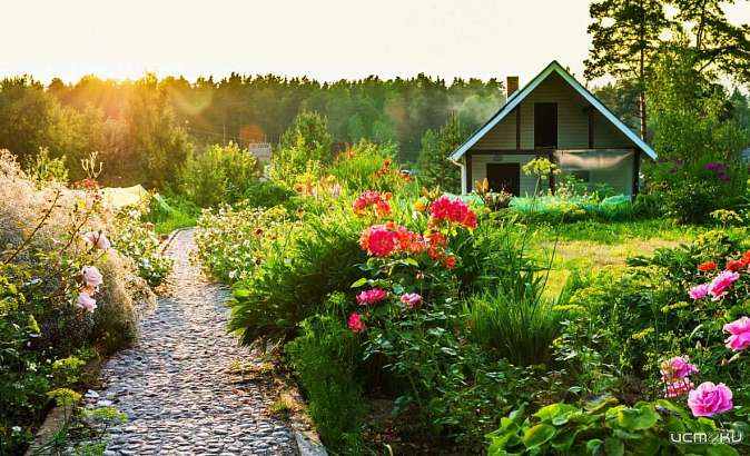 В Орле 23 октября завершится дачный сезон