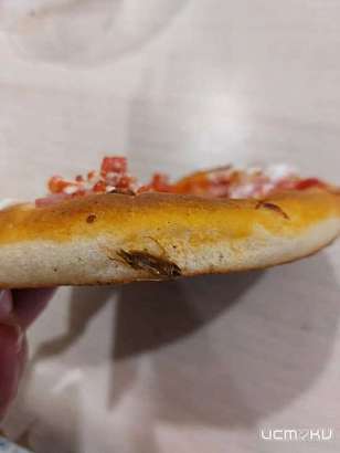 В Орле продают пиццу с запеченными тараканами