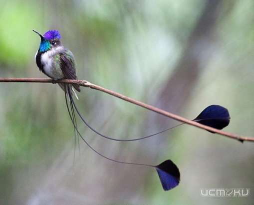 Неземная красота