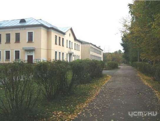 СК проверит травмирование 8-летнего ребенка в орловской школе