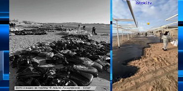 В Орле опять щепки летят – жители улицы Энгельса возмущены очередной вырубкой деревьев.