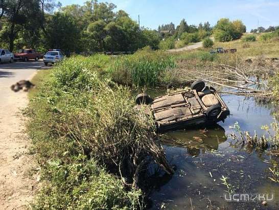 В Урицком районе водитель «девятки» погиб, слетев с дороги в пруд