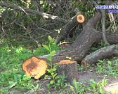 Экспресс-новости: Сергея Лежнева оставили в СИЗО до 24 декабря, активист Юрий Малютин написал открытое обращение к прокурору области