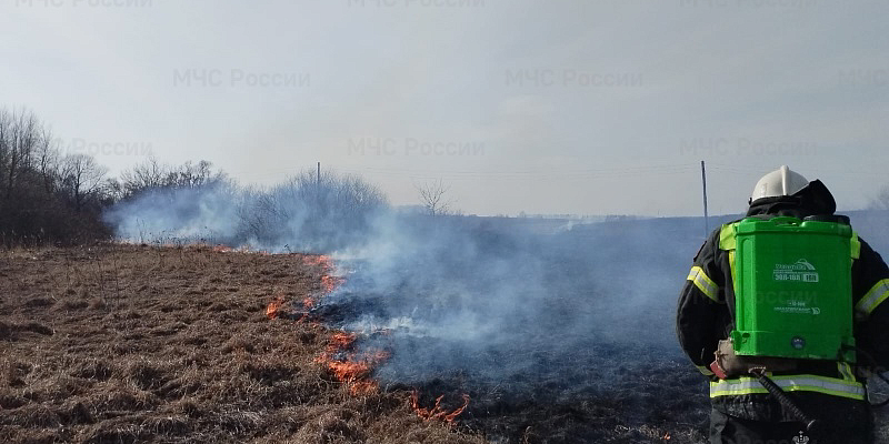 пожар мчс сухая трава В Орловской области за сутки зафиксировано 38 выездов на тушение сухой травы и мусора