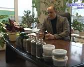 Недавно стало известно, что областную схему обращения с отходами скорректируют.