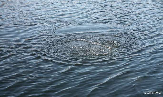 Жители Орловщины вытащили из реки тело пенсионера