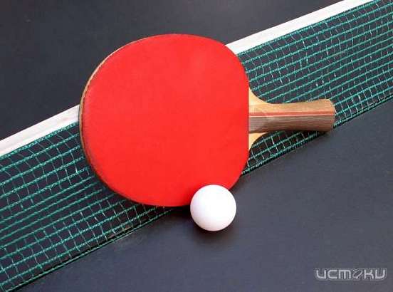 Две медали орловчане выиграли на Первенстве Ельца по настольному теннису 