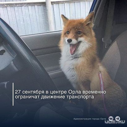 В субботу в центре Орла ограничат движение и запретят парковку