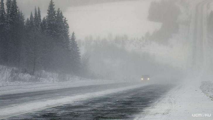 Вместе с метелью в Орел пришла оттепель