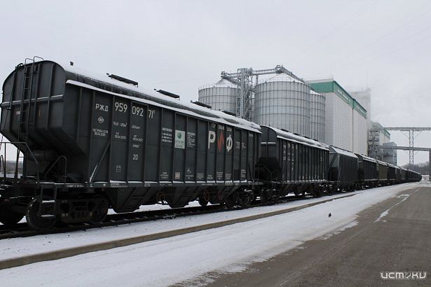 Погрузка зерна на Московской железной дороге выросла на 3,6% за 11 месяцев 2024 года
