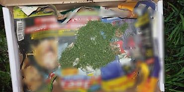 наркотики На жительницу Мценска завели дело за выращивание запрещенного растения