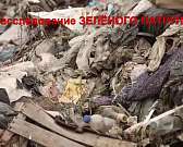 Жители Лужков и Половца просят Путина перенести завод ПВХ-покрытий за пределы Орла