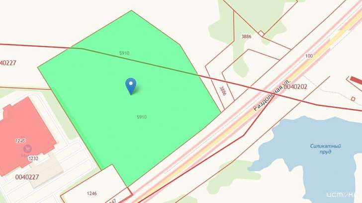 Перед строительством гипермаркета «Леруа Мерлен» в Орле вырубят 435 деревьев