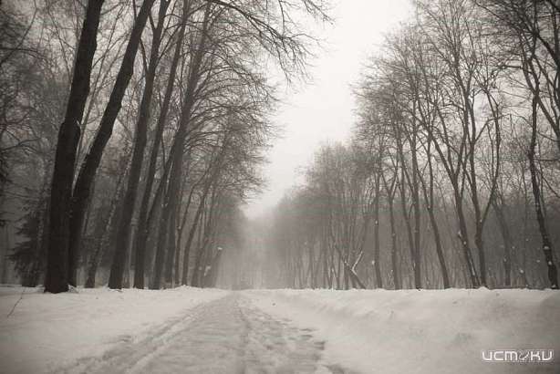 Прогноз погоды на выходные дни в Орловской области: слегка подморозит