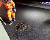 Очередь на прием к губернатору Клычкову. Экспресс - новости.