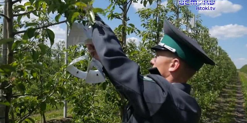 Экспертное мнение 21.05.2025