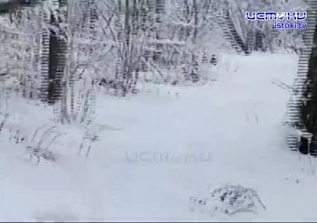 Орловские ориентировщики устроили погоню за призом от Деда Мороза