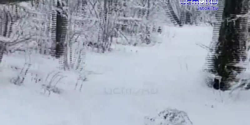 Орловские ориентировщики устроили погоню за призом от Деда Мороза