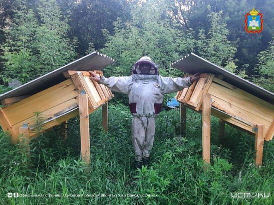 Бывший работник полиции на пенсии создал пасеку "Дикий мед"